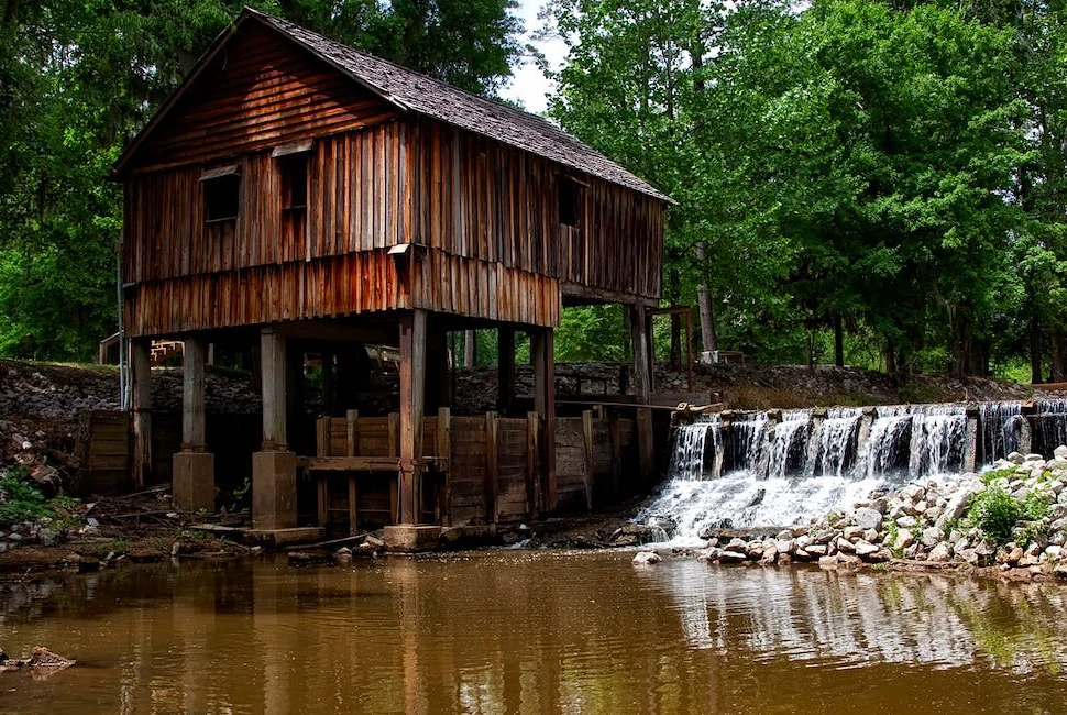 Vista, CA: The Ultimate Guide to Attractions and Activities